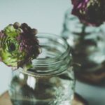 NBA在线直播极速体育,高清赛事实时畅享无延迟 6fbsqdb37