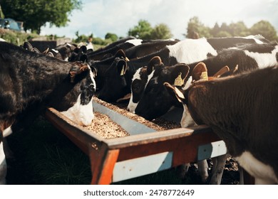 NBA在线直播视频:实时观看精彩篮球赛事高清对决 NBA在线直播视频:实时观看精彩篮球赛事高清对决